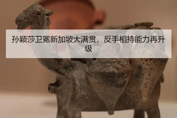 sun-ying-sha-wei-mian-xin-jia-po-da-man-guan-fan-shou-xiang-chi-neng-li-zai-sheng-ji-2-315.jpg